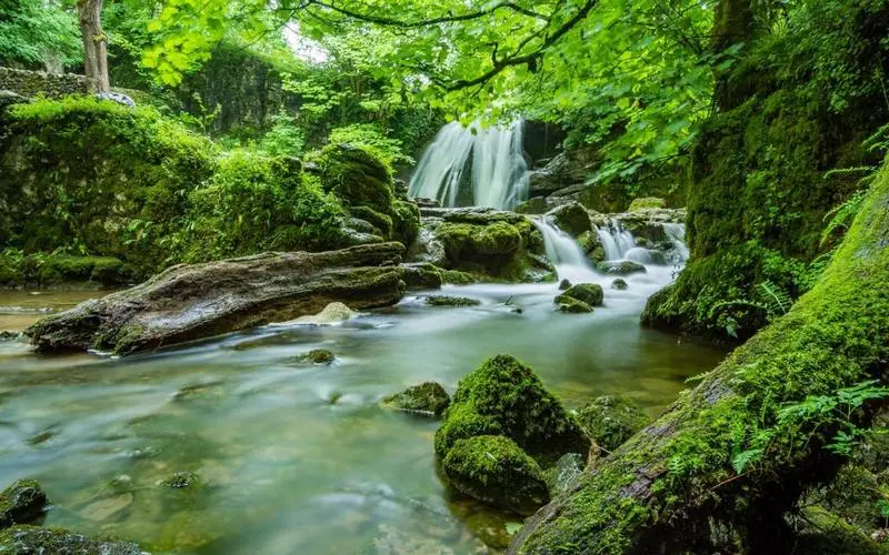 绿色可靠性